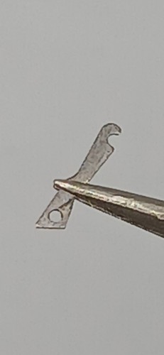 Dente scatta data giorno - dente,