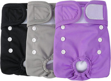 Pannolini per Cani Cane