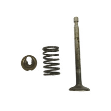 VALVOLA scarico MOTORE BRIGGS & STRATTON QUANTUM XM 50 ricambi usati
