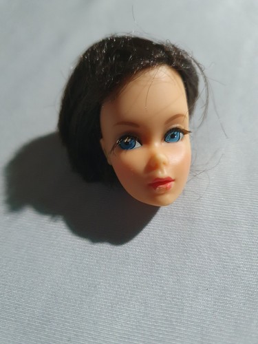 Testa capelli bruni - bruni, new