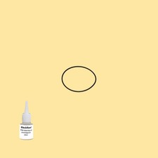 Cinghia Olio = Kit 5 per