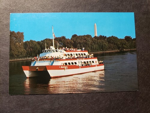 Catamarano america wilson - america,,