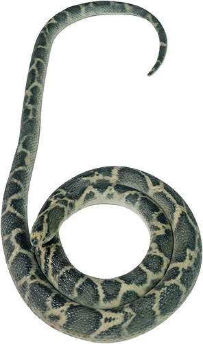 Serpente gomma - serpente,