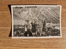 20745. Fotografia gruppo escursionisti Malga Lavedole Edolo Brescia 6x4