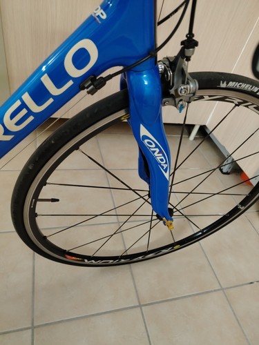 Pinarello paris blu