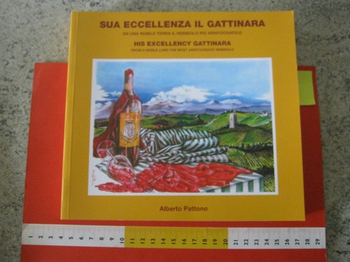 Italia libro vino wine sua - wf,