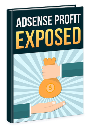 Adsense profit exposed - adsense,