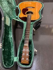 Chitarra acustica Shenandoah