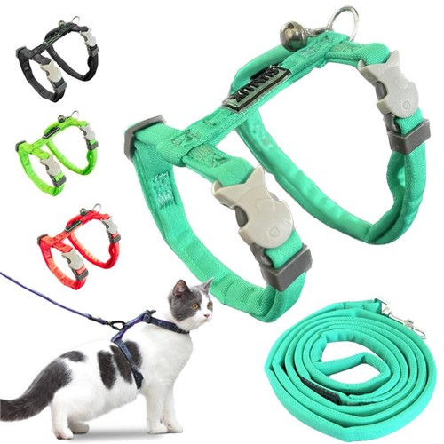 Pettorina guinzaglio gatto - pettorina,