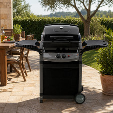 Barbecue Gas SAPORILLO Pietra