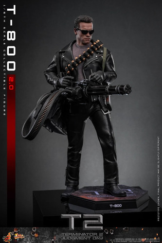Hot toys mms795 terminator - toys,