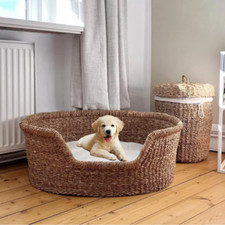Cesto Cuccia Cane 50x40x20 cm