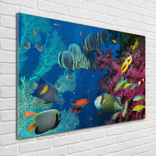 Quadro vetro quadri da - vetro,