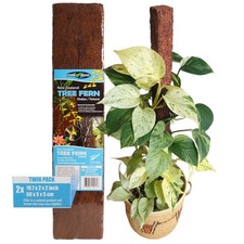 Tavola Totem Felce Albero Felce - per Orchidee, Aroidi e Altre Piante Rampicanti...