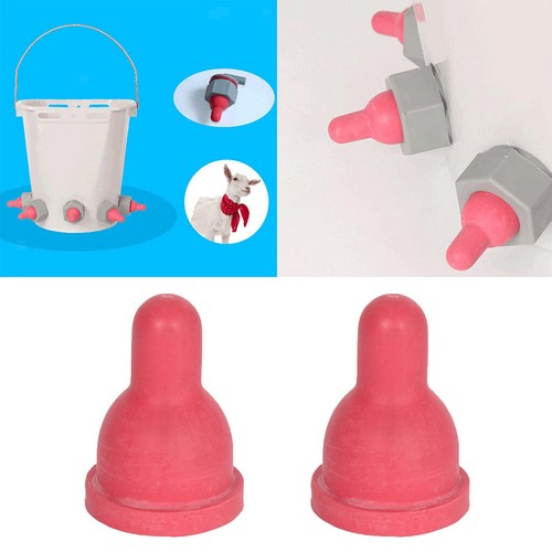 Tettarelle gomma per - 2x,