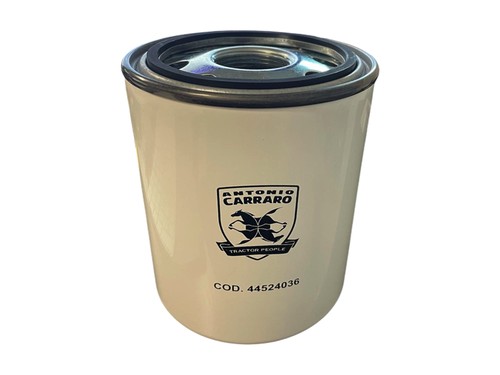 Filtro motore idrostatico