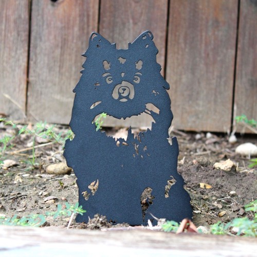 German spitz black metal - german,