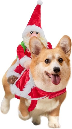 Costumi natale per cani - costumi,