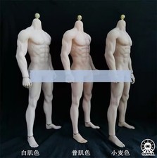 Modellino OCTPLY OM001 1/6