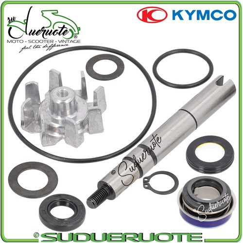 Kit revisione pompa acqua - revisione,