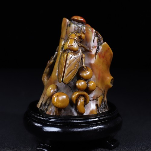 Squisita collezione shoushan - collezione,