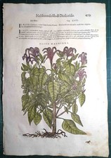 MATTIOLI MATTHIOLI Erbario a