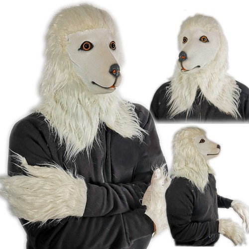 Bianco barboncino maschera - barboncino,