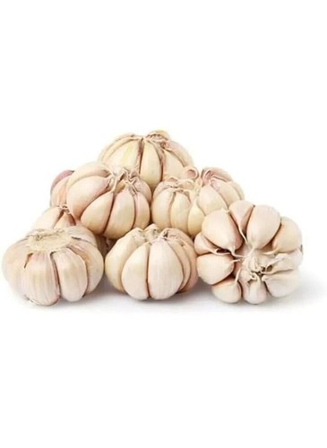 Bulbi aglio indiano 100 - di,