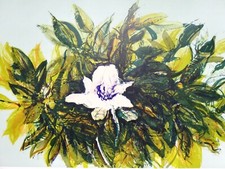 GIANCARLO CAZZANIGA: Rara Litografia di cm. 70x50, Firmata, Numerata. STUPENDA!!