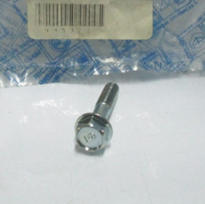 VITE FASCETTA MARMITTA PER