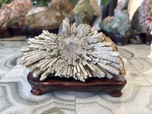 Pietra crisantemo suiseki - crisantemo,