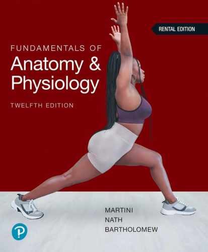Fundamentals anatomy - of,