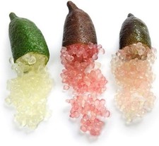 Pianta di limone caviale