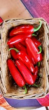 JALAPEÑO 30 SEMI DI