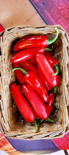 Jalapeño semi di - semi,