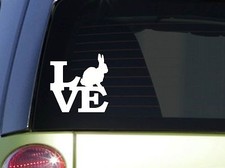 Rabbit Love 6" STICKER *F171*