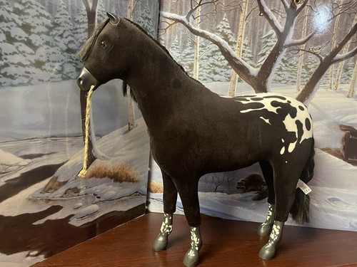 American girl kaya horse - girl,