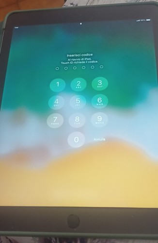 Apple ipad air ª - apple,