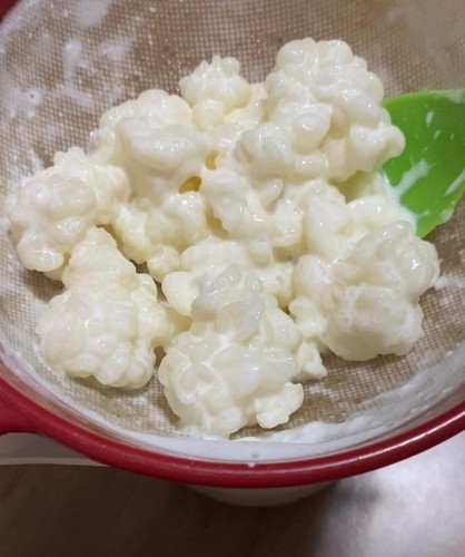 Kefir latte grammi - latte, 20