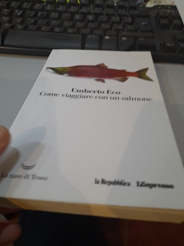 Come viaggiare con salmone - con, un