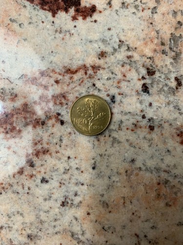 Moneta lire 20 - moneta,