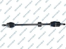 217111 GSP SEMIASSE ANT. DX