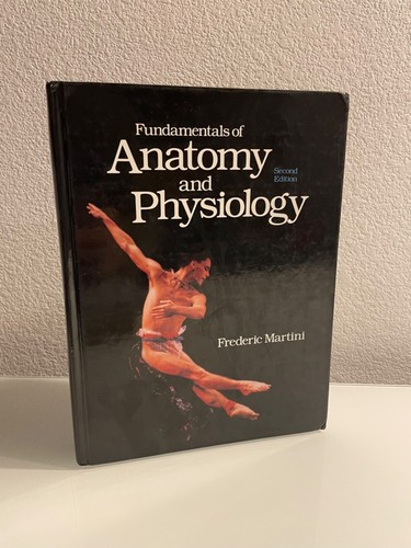Fundamentals anatomy and - fundamentals,