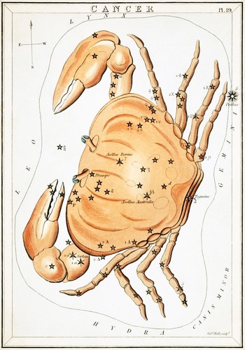 11293 poster decorazione - 11293.poster, decorazione.arte