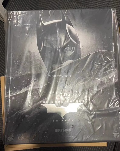 Hot toys dx19 the dark - hot, knight