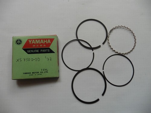 Kit anelli pistone 25 1 - anelli,