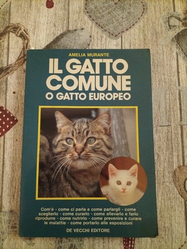 Gatto comune - il,