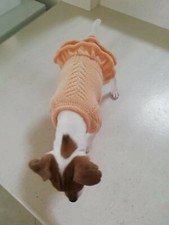 maglione per cani fatto a mano