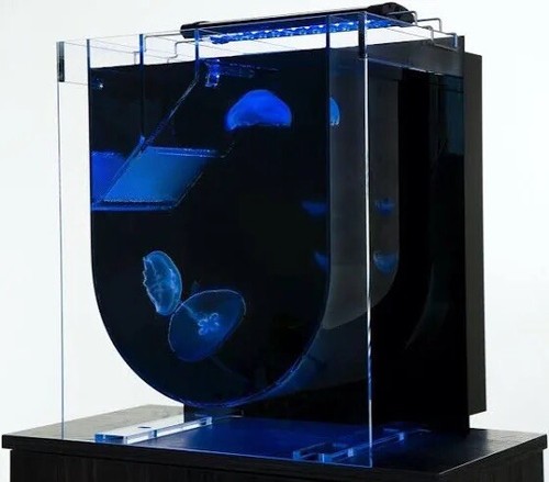 Serbatoio per meduse medusa - serbatoio,