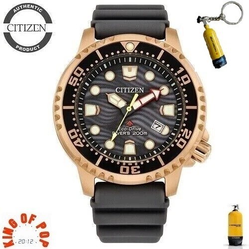 Citizen bn0163 00h promaster - bn0163-00h,